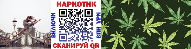 Сколько стоит Заволжск Alpha PVP  МДМА  Конопля  Псилоцибиновые грибы 