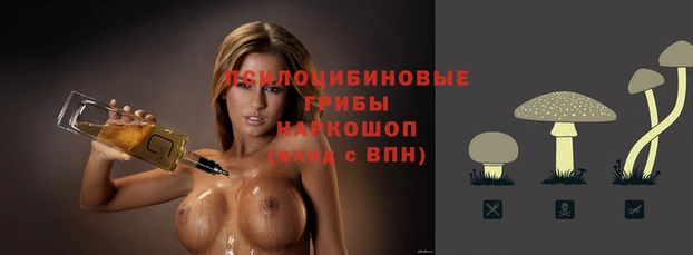 кокс Бородино