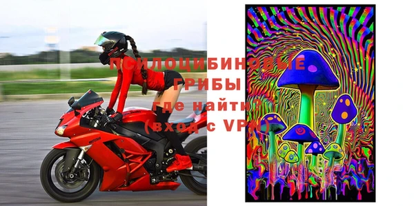 кокс Бородино