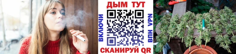 купить закладку Заволжск Бошки Шишки сатива